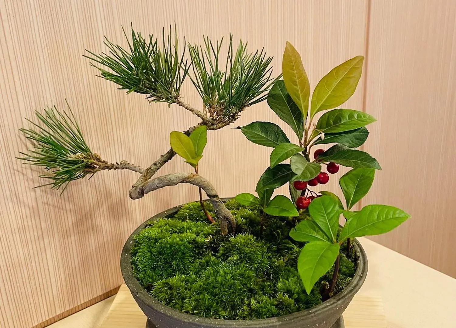 교토 산조 오하시 3*,  일본